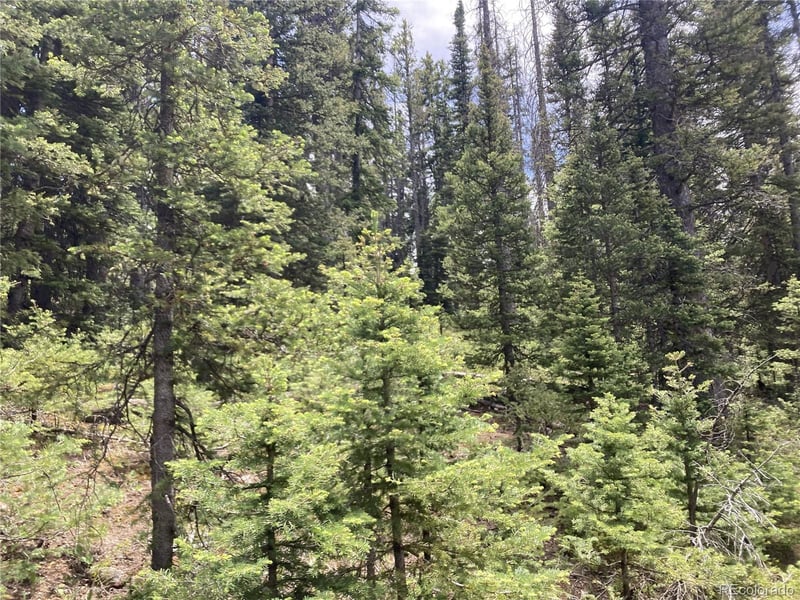 Lot 6614 Starkweather Rd Lot 6614, San Luis, CO 81152