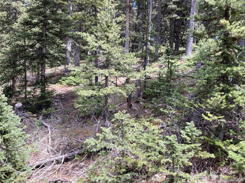 Lot 6614 Starkweather Rd Lot 6614, San Luis, CO 81152