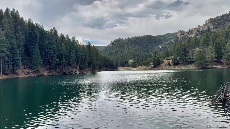 683 Trumbull Ln, Monument, CO 80132