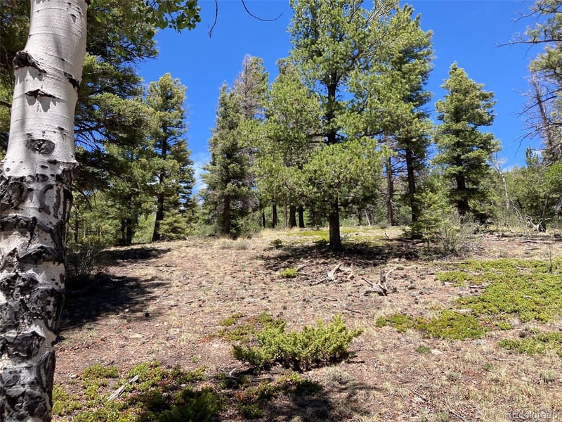 LOT 6617 Forbes , San Luis, CO 81152
