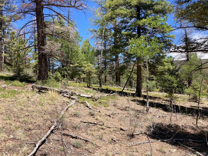 LOT 6617 Forbes , San Luis, CO 81152