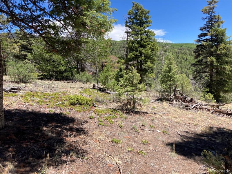 LOT 6617 Forbes , San Luis, CO 81152