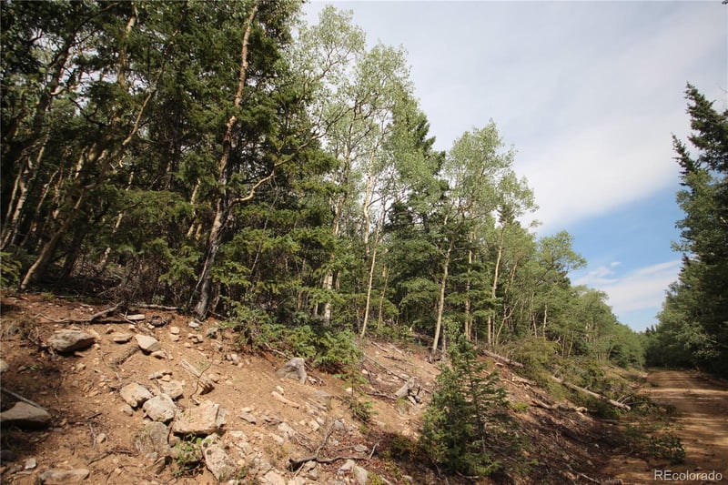 Lot 6573 Ackerman Rd, San Luis, CO 81152