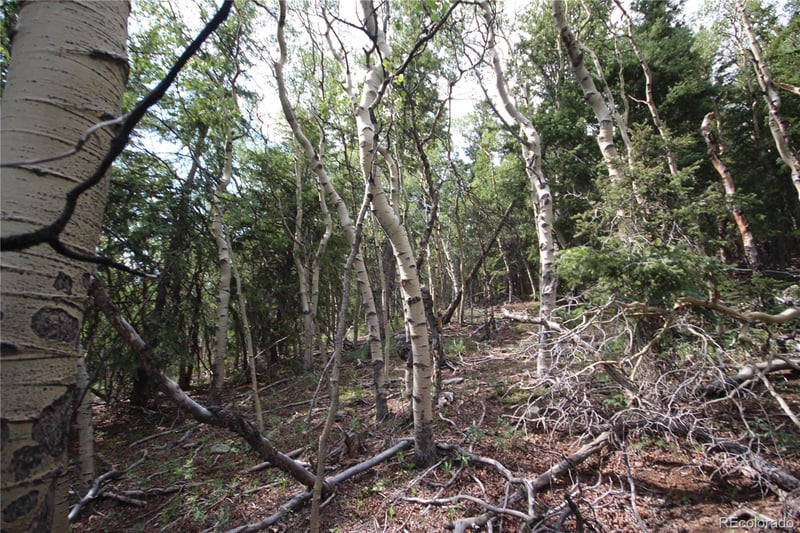 Lot 6573 Ackerman Rd, San Luis, CO 81152