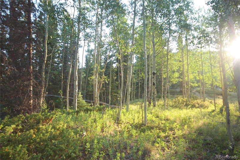 LOT 6588 Forbes Rd, San Luis, CO 81152