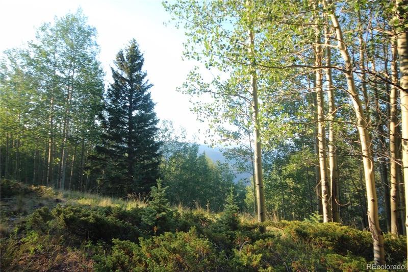 LOT 6588 Forbes Rd, San Luis, CO 81152