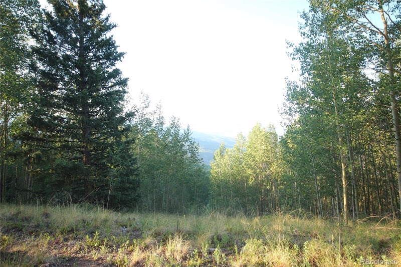 LOT 6588 Forbes Rd, San Luis, CO 81152