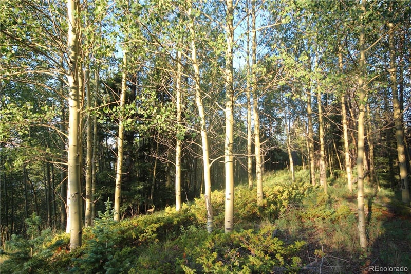 LOT 6588 Forbes Rd, San Luis, CO 81152