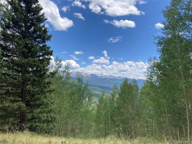 LOT 6588 Forbes Rd, San Luis, CO 81152