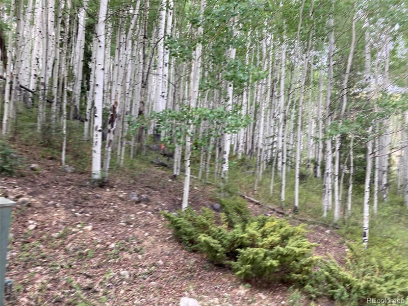 LOT 6295 Malcolm Rd, San Luis, CO 81152