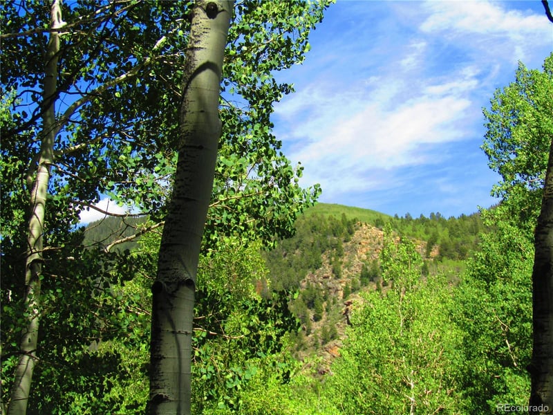 LOT 6295 Malcolm Rd, San Luis, CO 81152