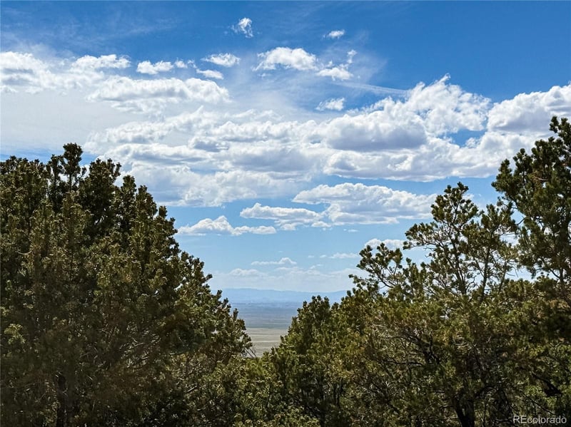 107 Crosstimber Ln, Mosca, CO 81146