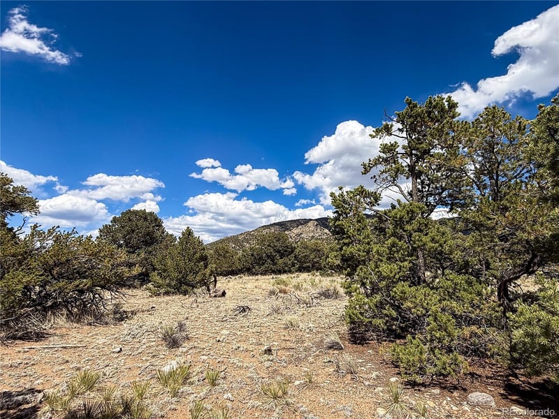 107 Crosstimber Ln, Mosca, CO 81146