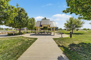 652 Sundance Dr, Windsor, CO 80550