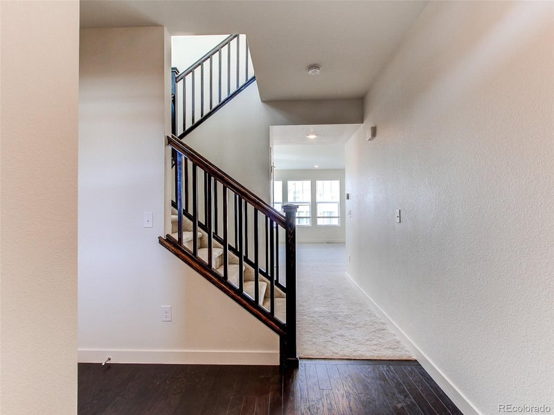 4081 Fortune Ln, Castle Rock, CO 80109