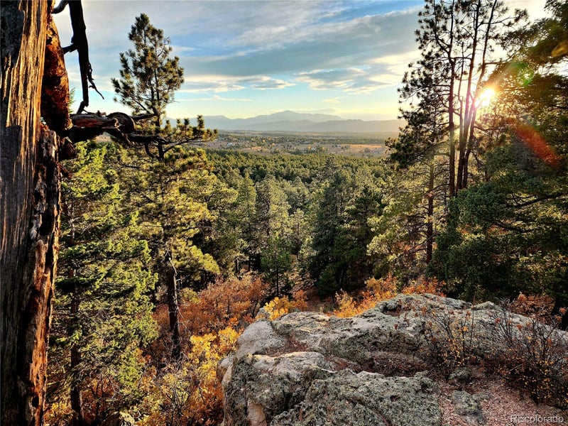 4450 Walker Ridge Vw, Colorado Springs, CO 80908