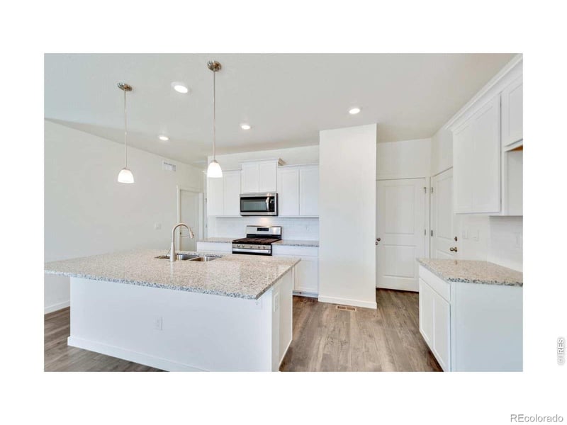 1002 Annelles Pool Ln, Severance, CO 80550