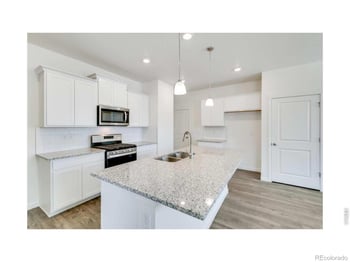 1002 Annelles Pool Ln, Severance, CO 80550