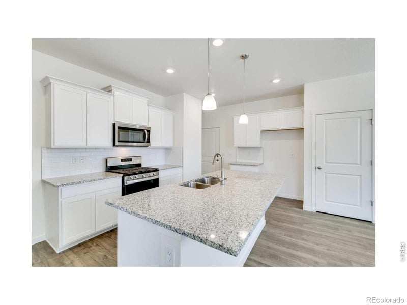 1002 Annelles Pool Ln, Severance, CO 80550