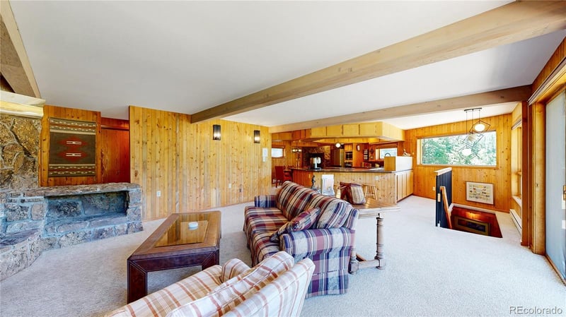 3820 County Road 68, Bailey, CO 80421