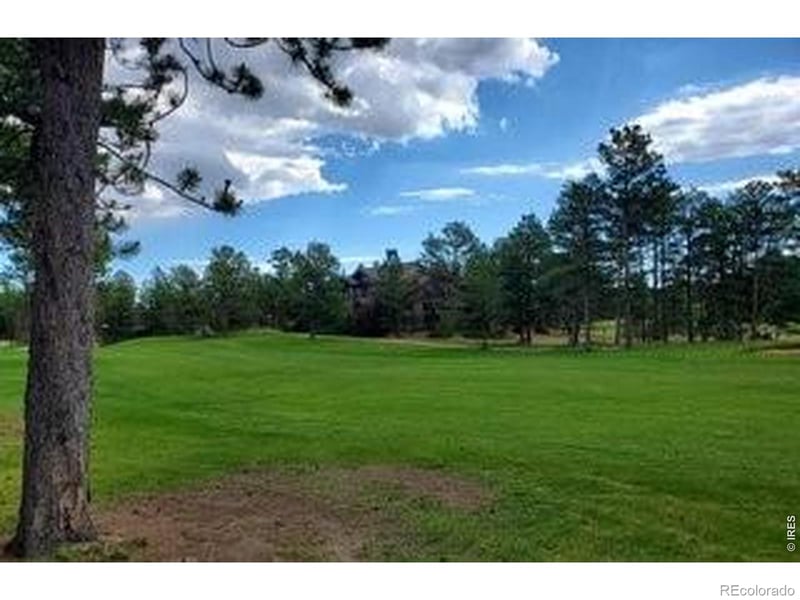 3021 Lake Arapahoe Ct, Red Feather Lakes, CO 80545