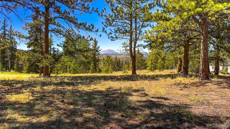 120 Chubb Ct Lot 15, Buena Vista, CO 81211