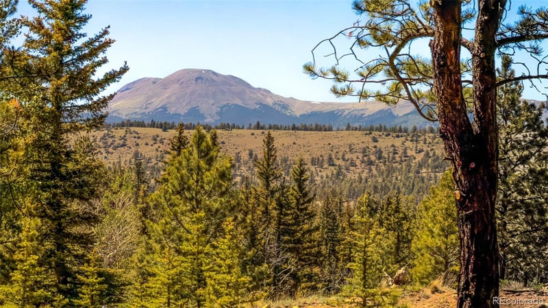 120 Chubb Ct Lot 15, Buena Vista, CO 81211