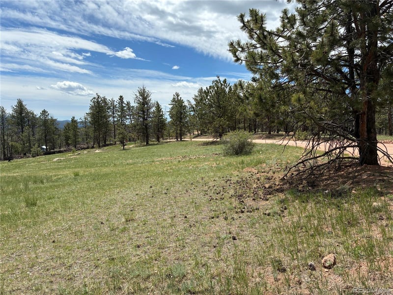 266 Chapparal Trl, Florissant, CO 80816