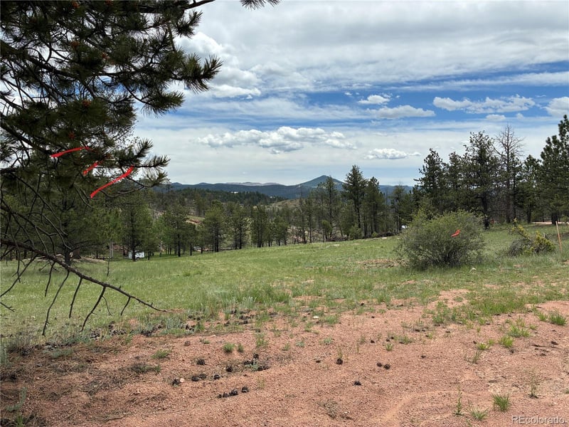 266 Chapparal Trl, Florissant, CO 80816