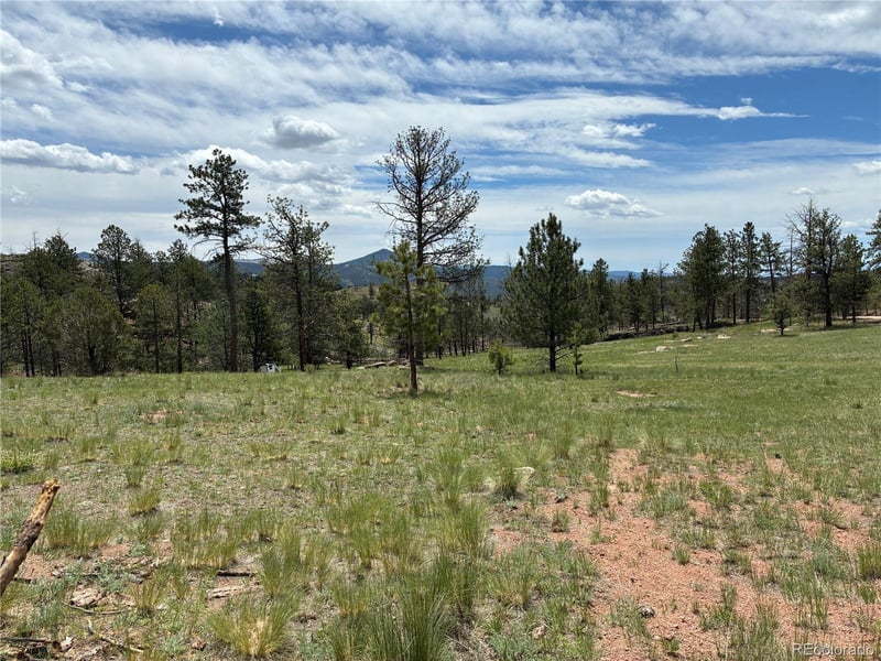 266 Chapparal Trl, Florissant, CO 80816