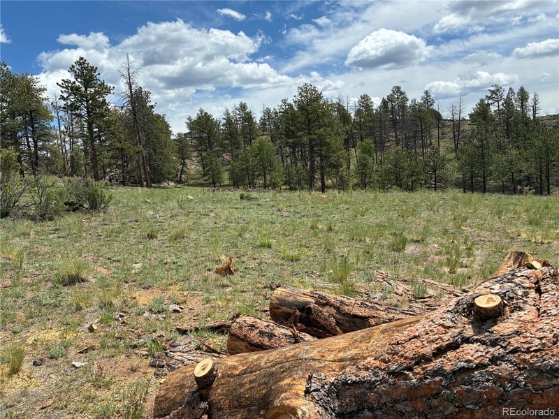 266 Chapparal Trl, Florissant, CO 80816
