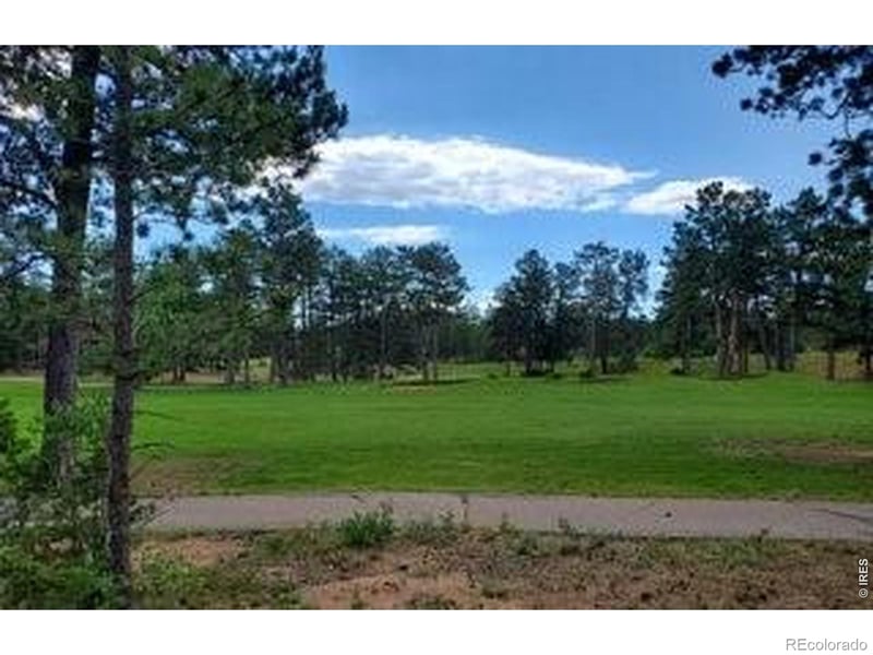 3031 Lake Arapahoe Ct, Red Feather Lakes, CO 80545