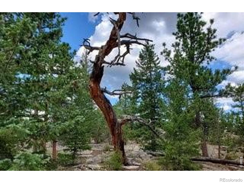 3031 Lake Arapahoe Ct, Red Feather Lakes, CO 80545