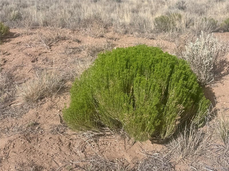 lot 89 Zuni , San Luis, CO 81152