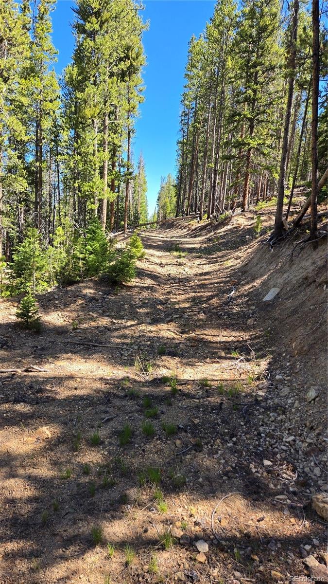 000 Summit Gulch Rd, Breckenridge, CO 80424