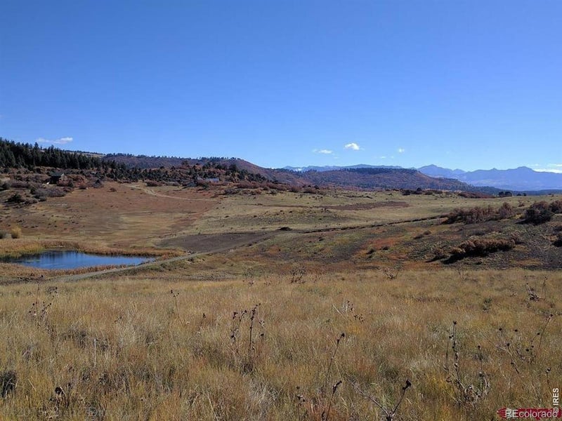919 Roush Dr, Pagosa Springs, CO 81147