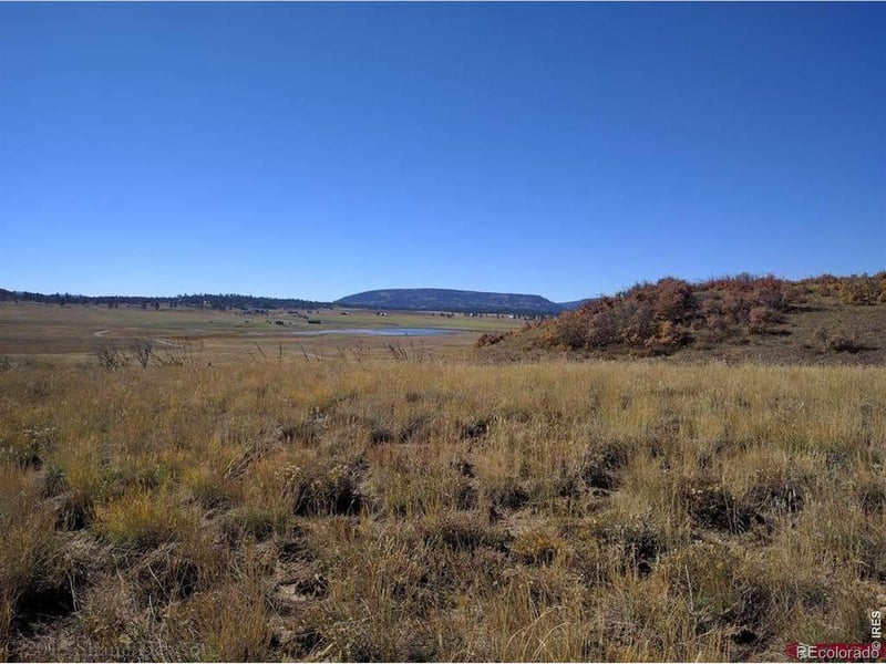 919 Roush Dr, Pagosa Springs, CO 81147