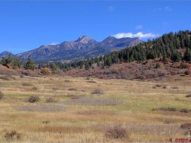 919 Roush Dr, Pagosa Springs, CO 81147