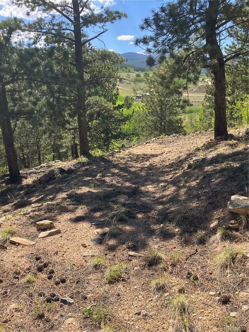 800 Eureka St, Central City, CO 80427