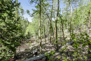9525 State Highway 67, Divide, CO 80814