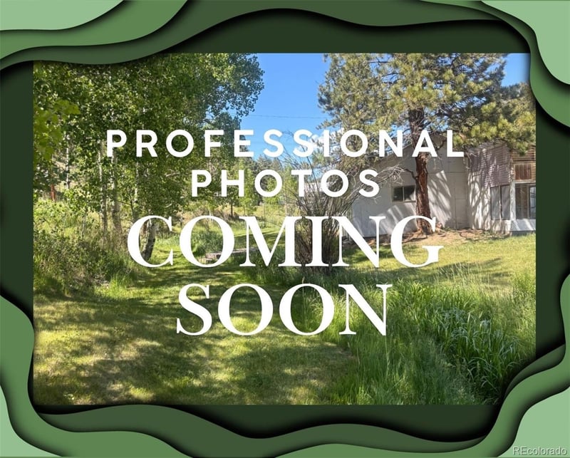 427 Brookside Dr, Bailey, CO 80421