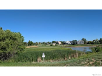 1703 Whitehall Dr, Longmont, CO 80504
