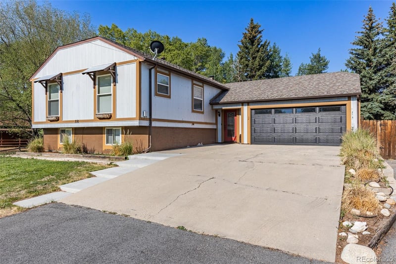250 James St, Buena Vista, CO 81211