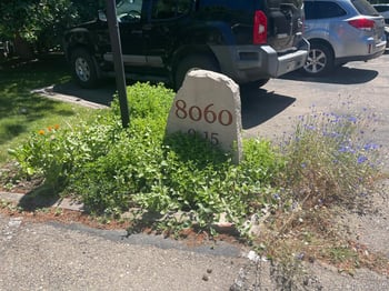 8060 Niwot Rd #7 E, Niwot, CO 80503