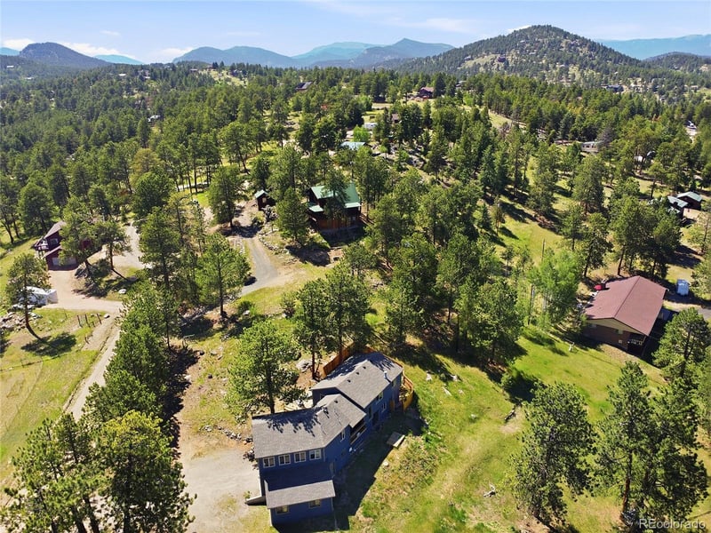 153 Chickadee Ln, Bailey, CO 80421