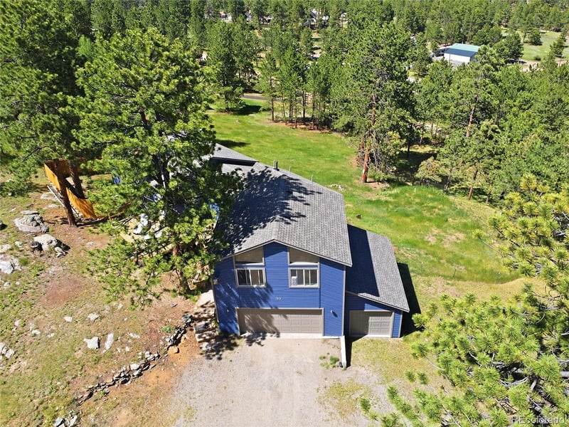 153 Chickadee Ln, Bailey, CO 80421