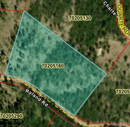 LOT 6216 Ryland Rd, San Luis, CO 81152