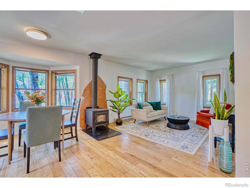 253 Breed St, Nederland, CO 80466
