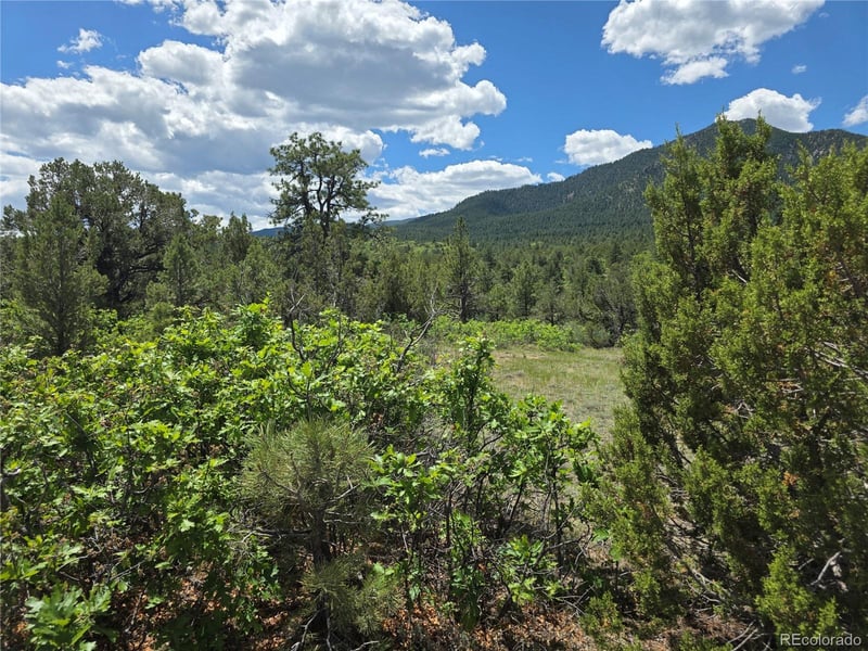 County Road 15, Florence, CO 81226
