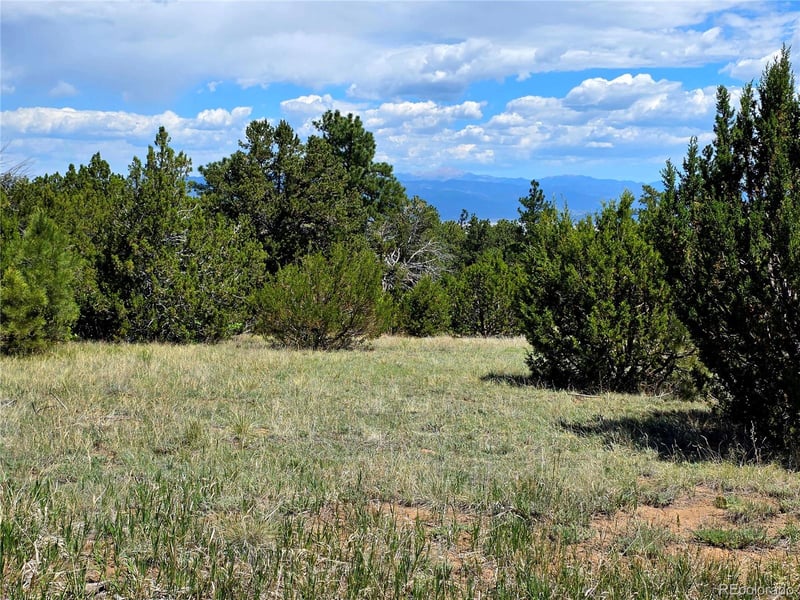 County Road 15, Florence, CO 81226